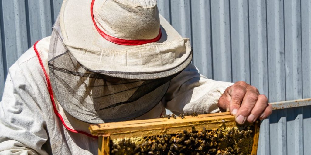 Do Beekeeper Suits Work For Wasps